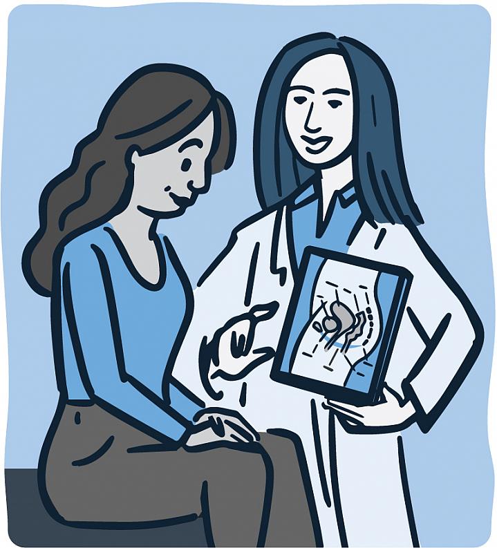 Illustration of a doctor showing female patient a diagram of the pelvis Illustration of a doctor showing female patient a diagram of the pelvis
